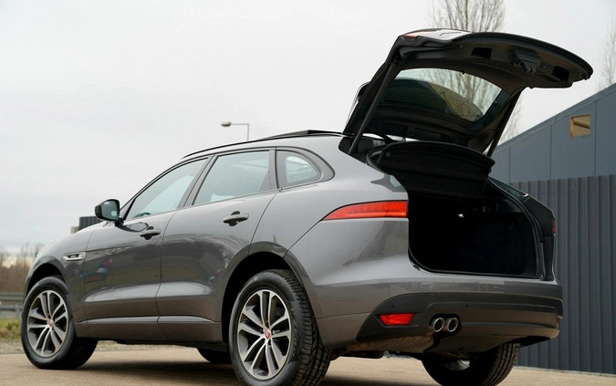 Jaguar F-Pace cena 104700 przebieg: 120157, rok produkcji 2019 z Otmuchów małe 781